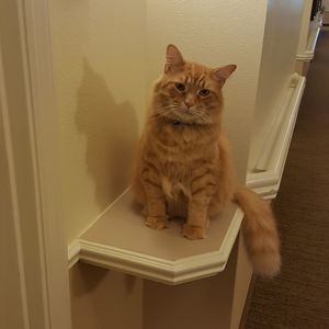 Meet your Posher, Cathy